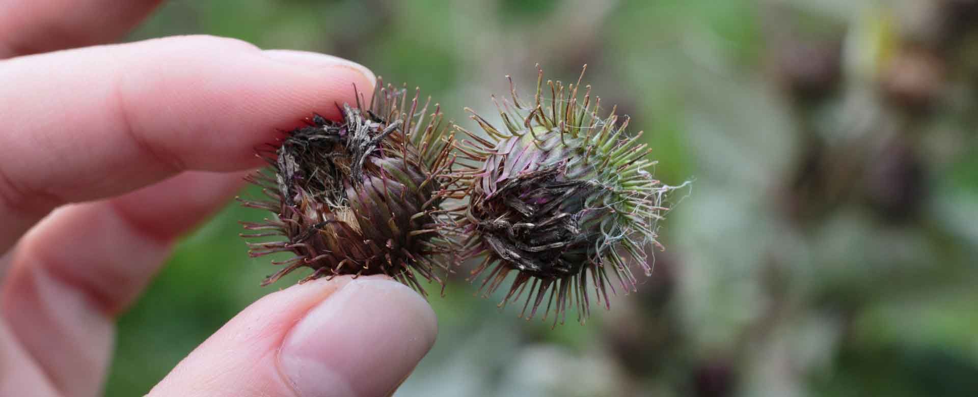 hook and loop fasteners