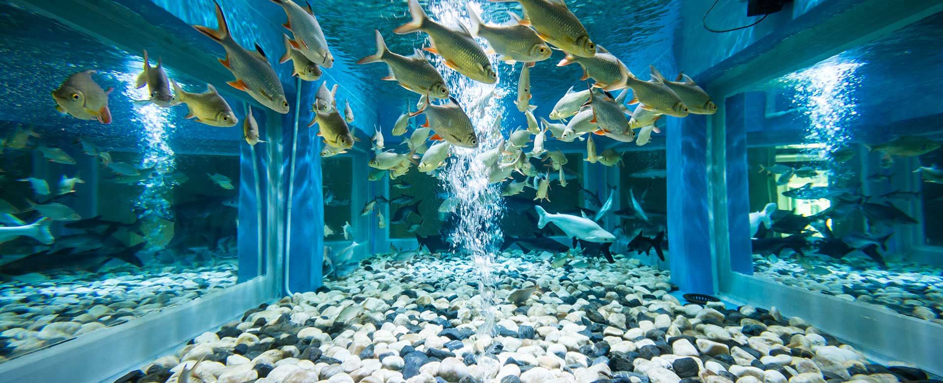 Case study: creatively partnering with the nation’s leading acrylic company