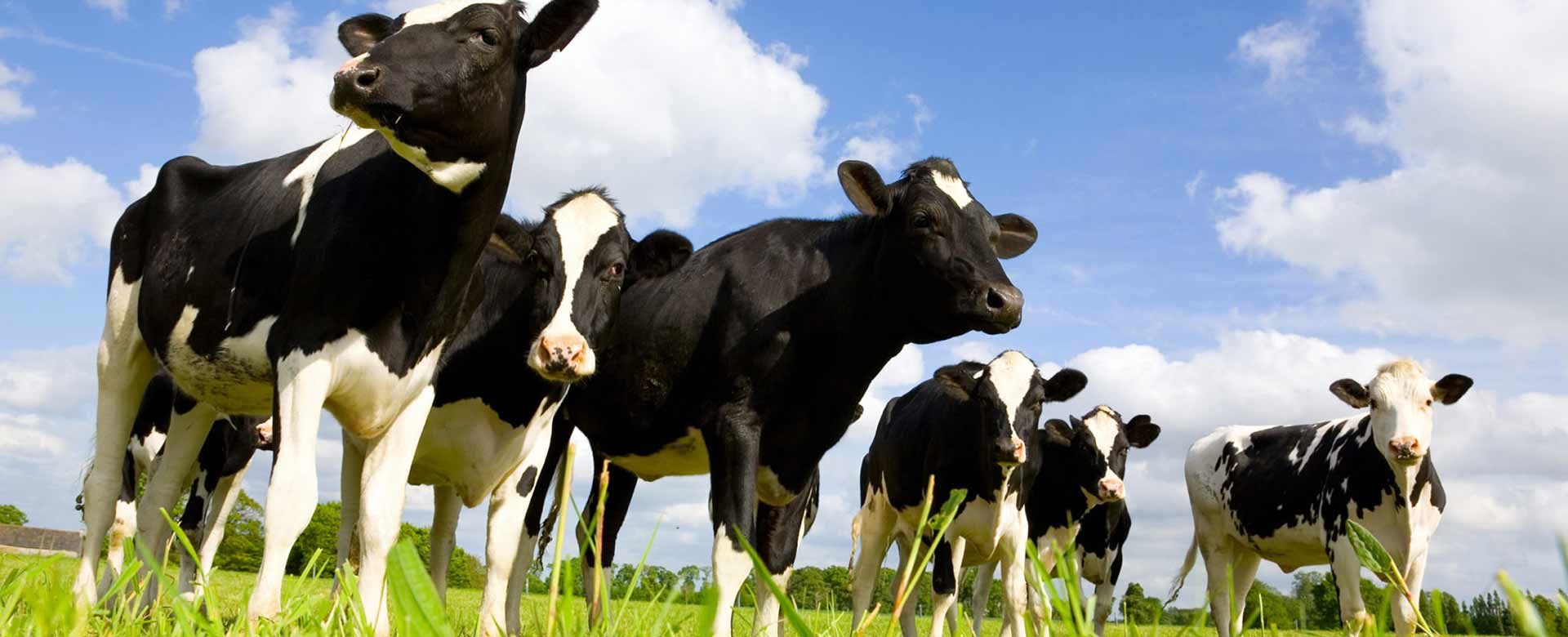 Air compressors for agriculture